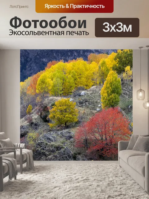 Фотообои Лес