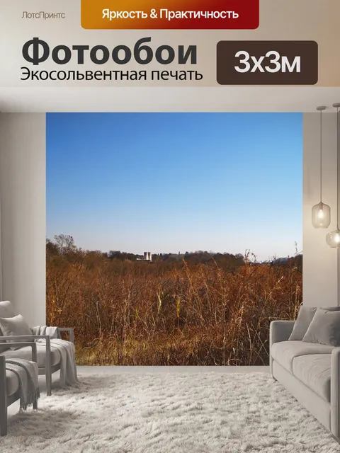 Фотообои вид на сухие зимние луга