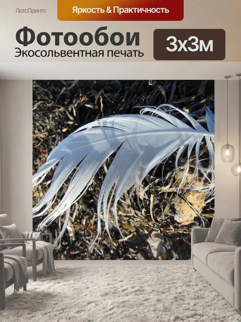 Фотообои Перья