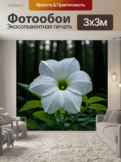 Фотообои белый цветок на фоне темного леса, его лепестки раскрыты, капли росы сверкают на солнце