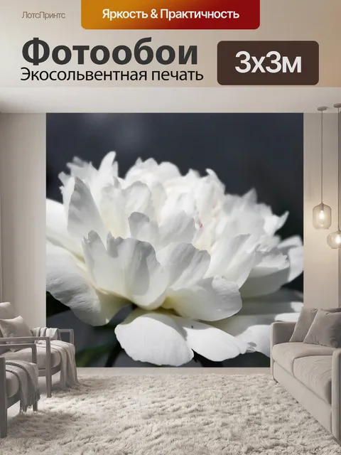 Фотообои Цветы