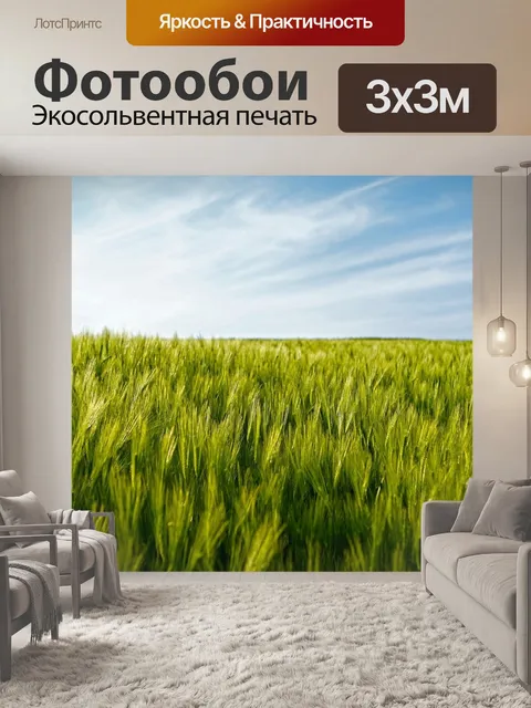 Фотообои Поле