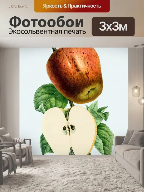 Фотообои Яблоки фрукты фрукты арт