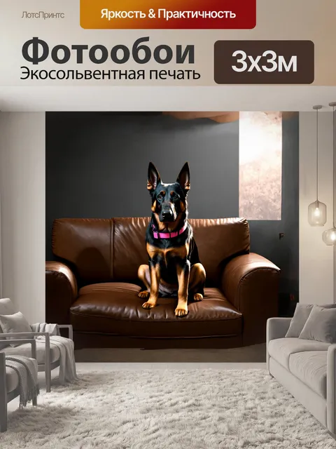 Фотообои в темном интерьере комнаты черная немецкая овчарка в розовом воротнике сидит на кожаном диване