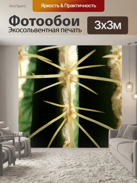 Фотообои Золотой шар кактус