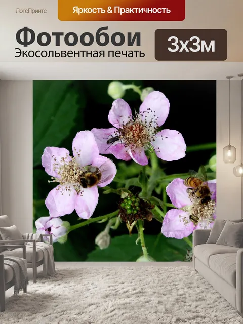 Фотообои Полевые цветы