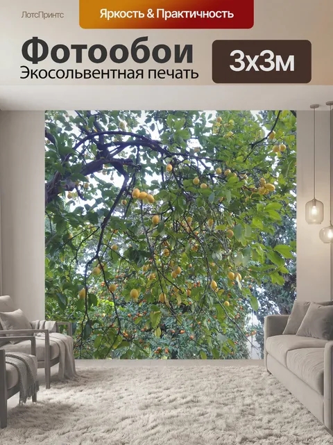 Фотообои Лимонное дерево