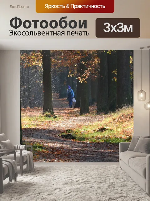 Фотообои Лесная дорога