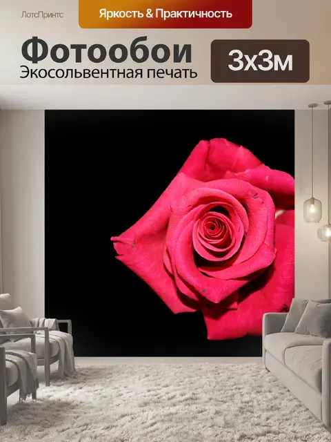 Фотообои Роза