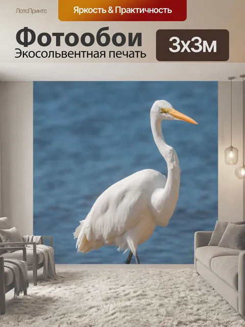 Фотообои белая птица