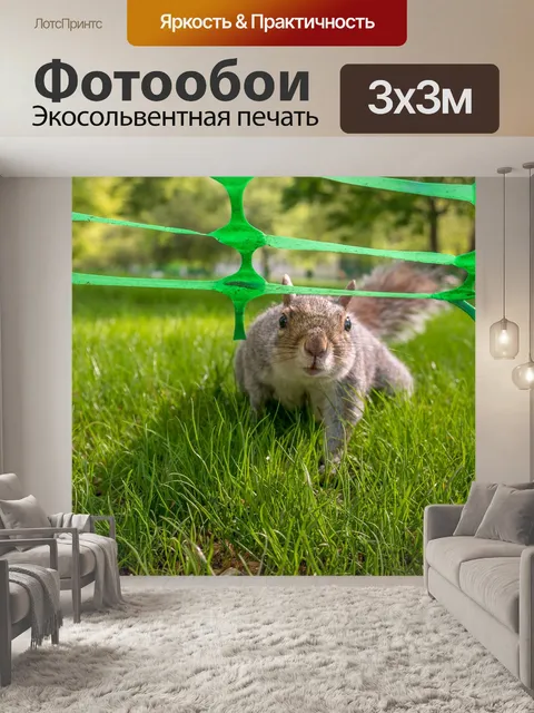 Фотообои Белка