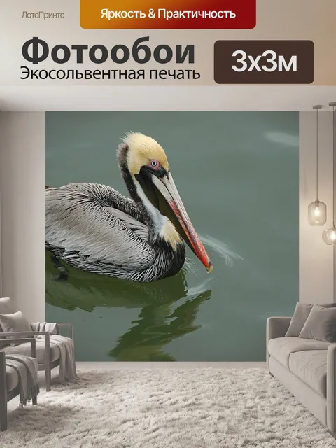 Фотообои Пеликан