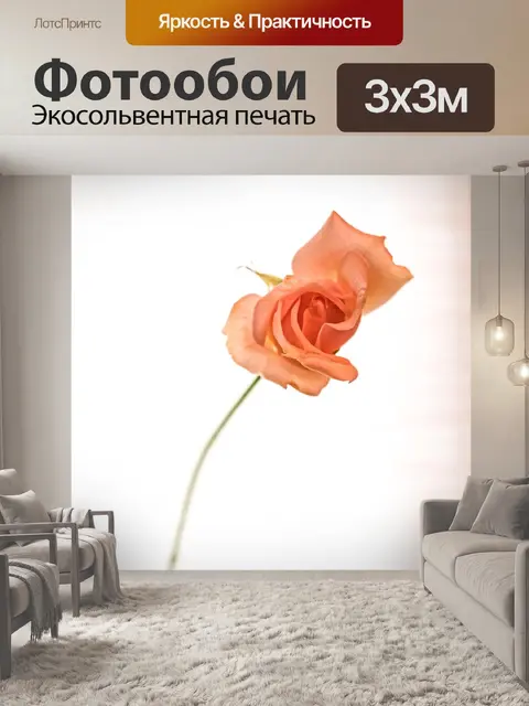Фотообои Роза