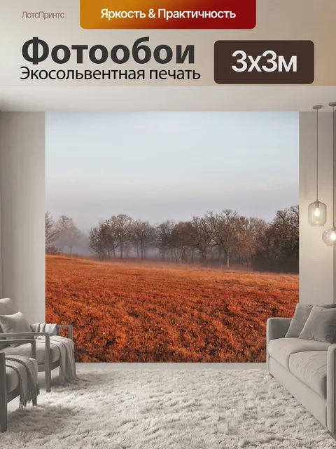 Фотообои Осеннее поле и туман