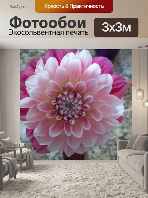Фотообои Донна Георгины