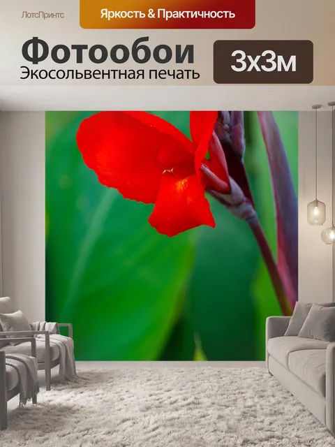 Фотообои Тропический красный цветок