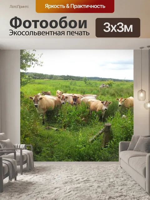 Фотообои Коровы