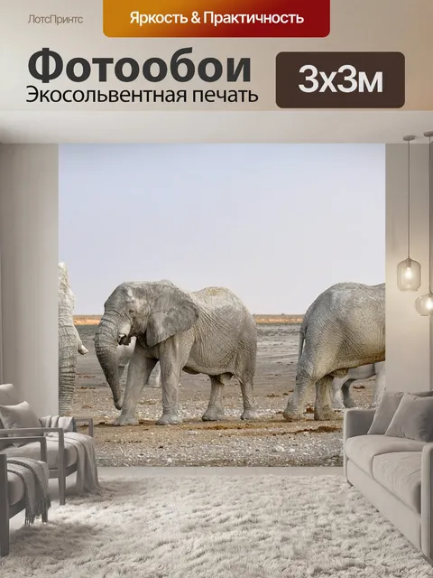Фотообои Слоны