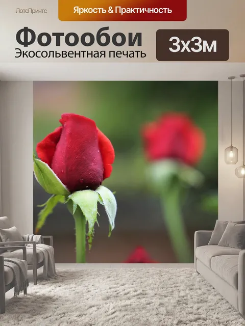 Фотообои Красные бархатные розы