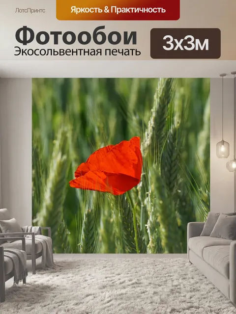 Фотообои Мак