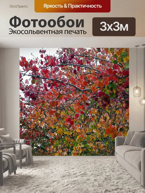 Фотообои Осеннее Дерево