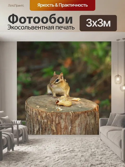 Фотообои бурундук