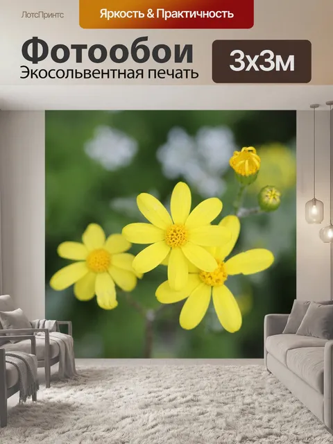 Фотообои Зеленый