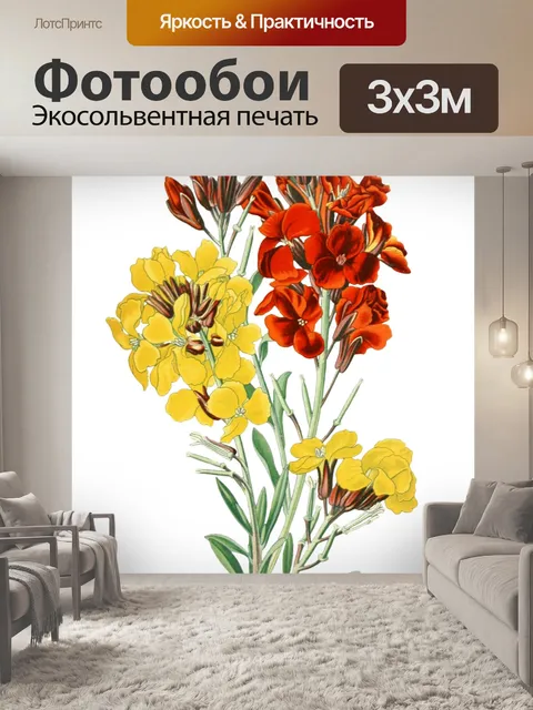 Фотообои Винтажные иллюстрации искусства цветы