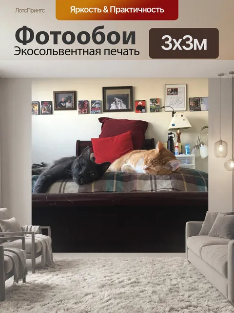 Фотообои Кошки