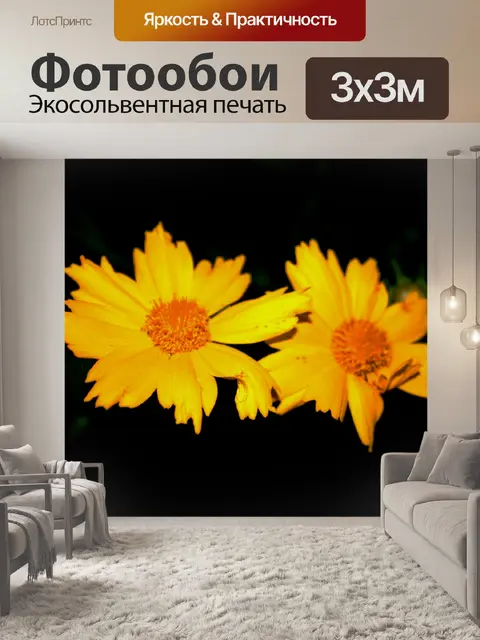 Фотообои две желтые ромашки
