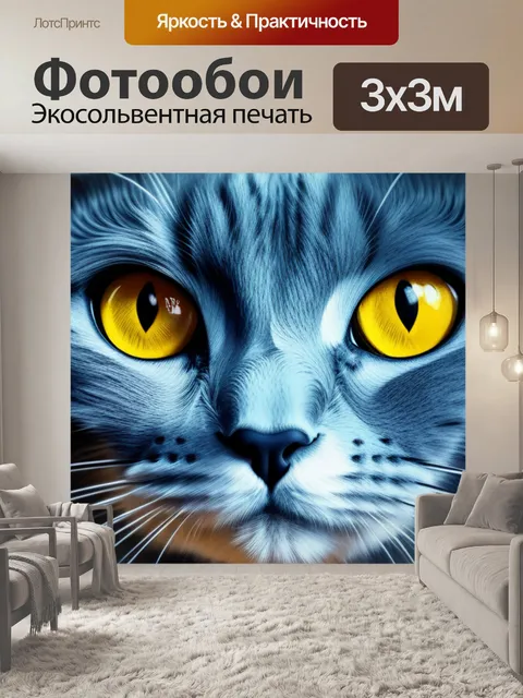 Фотообои с котиком смешной