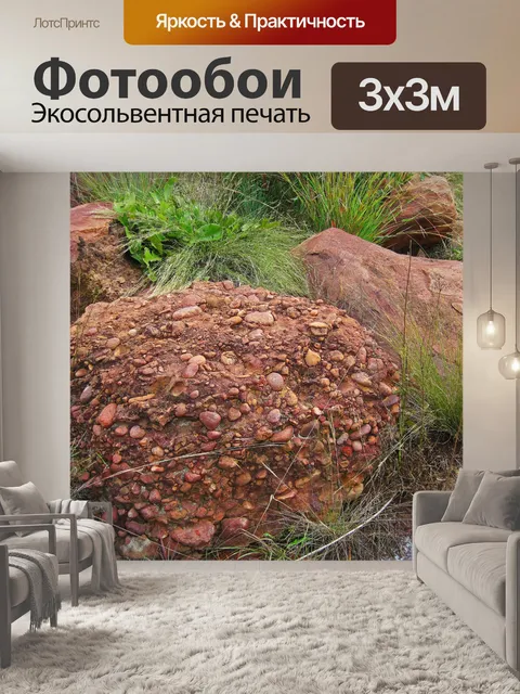Фотообои высокая трава вокруг конгломерата