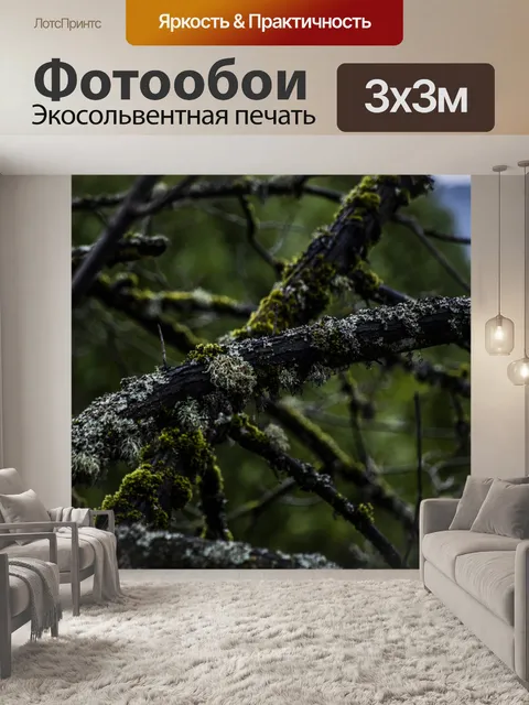 Фотообои Ветвь дерева с лишайниками