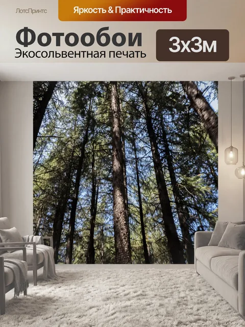 Фотообои Высокие деревья из-под