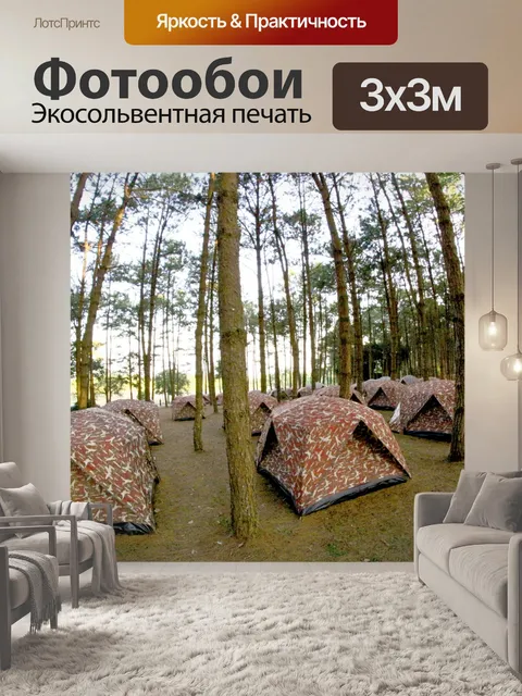 Фотообои кемпинг в сосновом Форрест на Фу Хин Рон