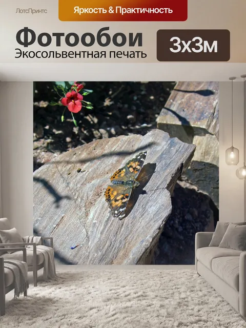 Фотообои Бабочка