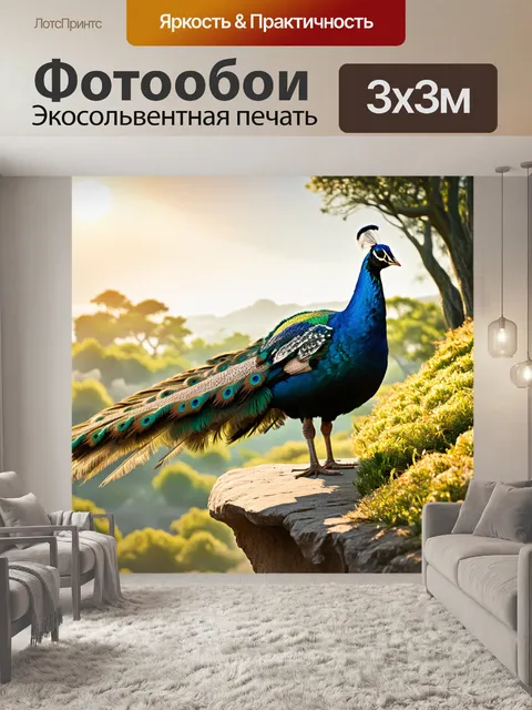 Фотообои павлин, стоящий на краю обрыва с раскрытыми перьями, представляет собой вид медитации и красоты