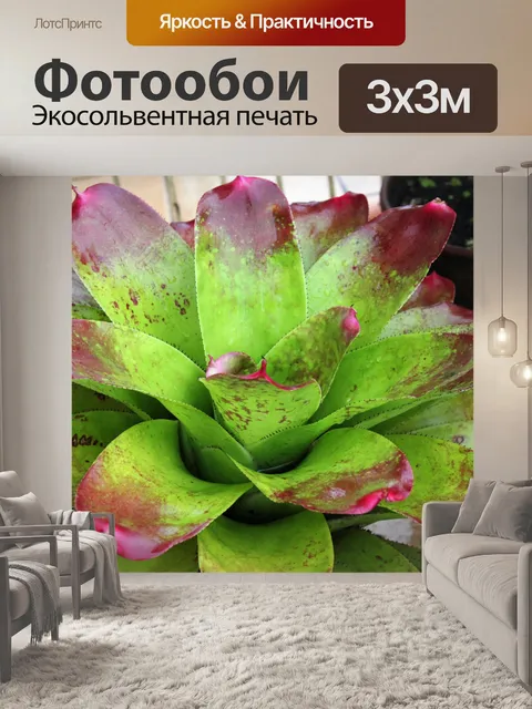 Фотообои Цветок лотоса