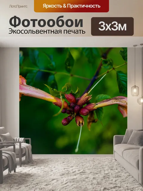 Фотообои Сигаретный цветок