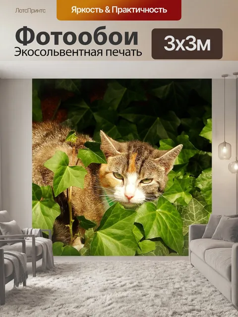 Фотообои Природа
