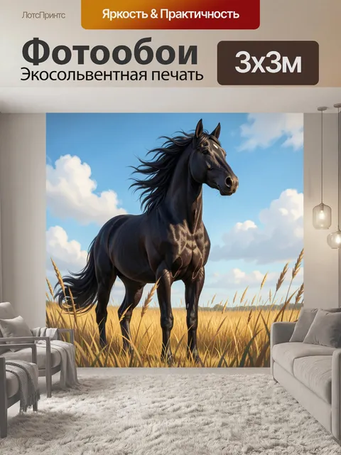 Фотообои Черный конь в поле