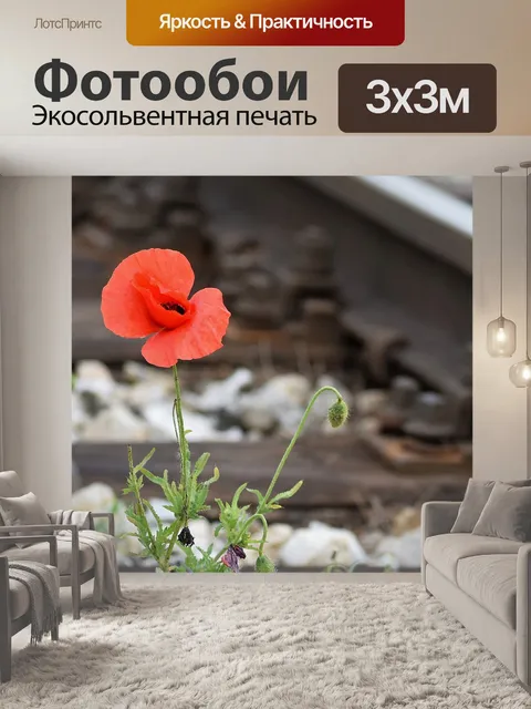 Фотообои Один красный мак