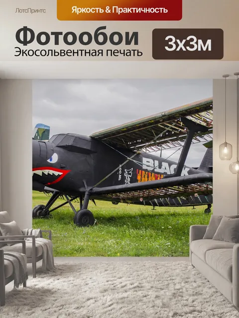 Фотообои Самолет