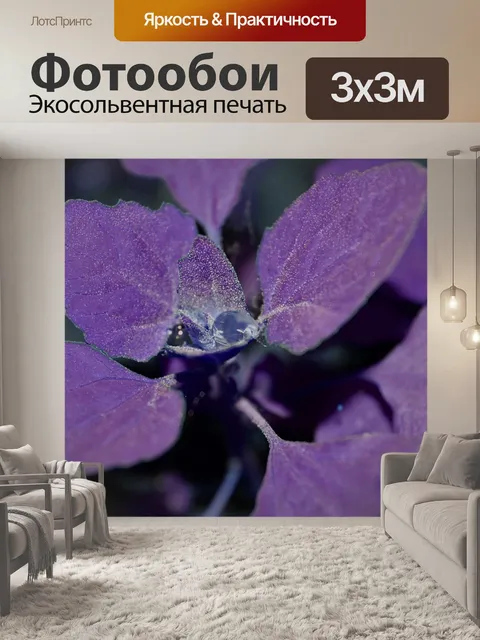 Фотообои Фиолетовый