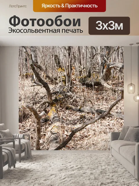 Фотообои Падший Березка