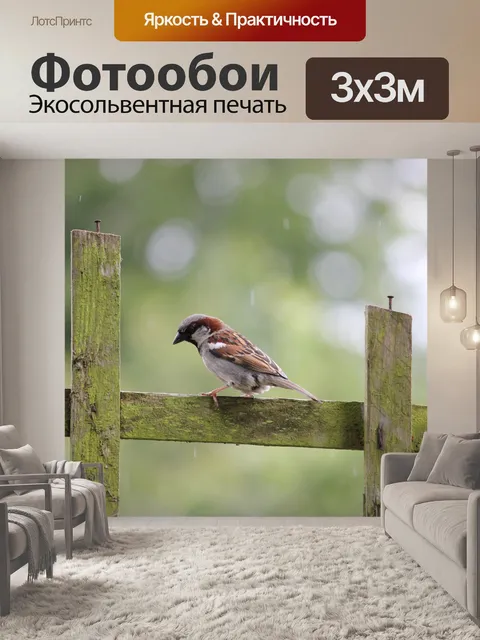 Фотообои Дом Воробей на заборе
