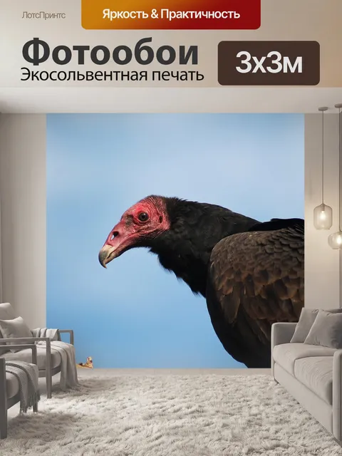 Фотообои Птицы