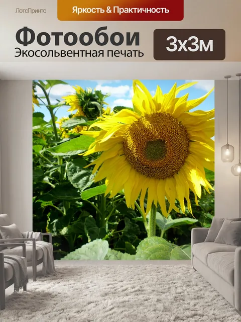 Фотообои Поле подсолнухов