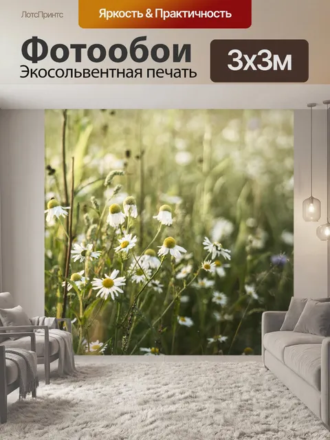 Фотообои Закат