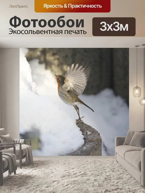Фотообои Птица